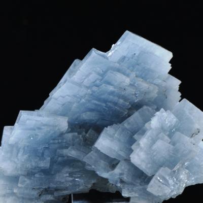 Dsc 4371