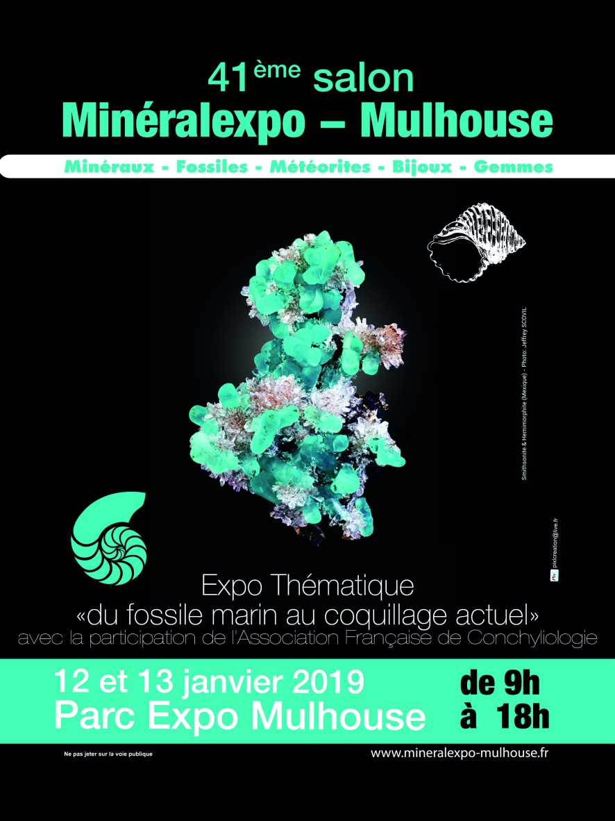 Mulhouse 2019