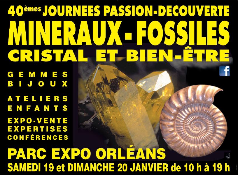 Orleans 2019
